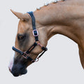 Luxury Rose Gold Leather Horse Halter – Anatomical Padded Headcollar with Premium Hardware & Nameplate