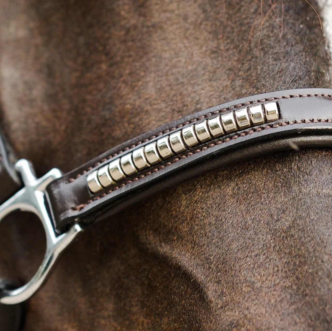 Premium Clincher Leather Horse Halter – Anatomical Padded Headcollar with Solid Brass Hardware