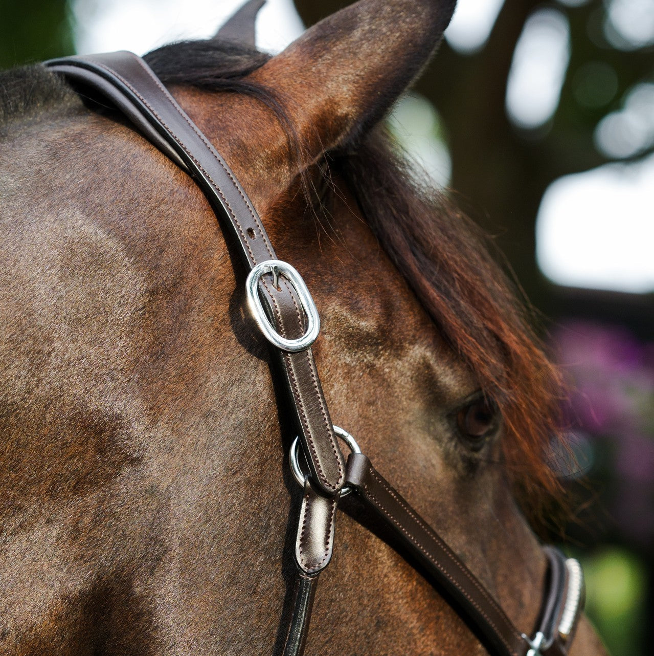 Premium Clincher Leather Horse Halter – Anatomical Padded Headcollar with Solid Brass Hardware