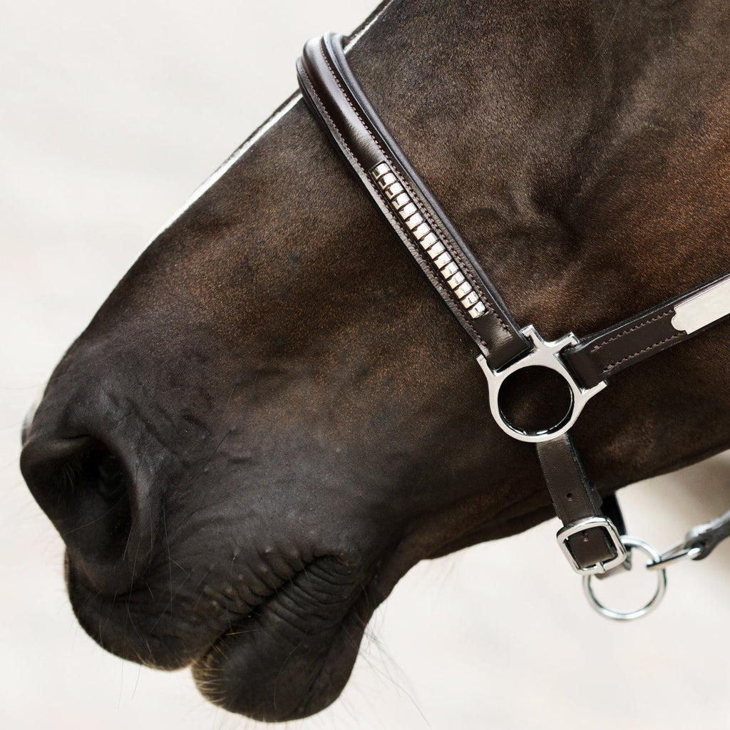 Premium Clincher Leather Horse Halter – Anatomical Padded Headcollar with Solid Brass Hardware
