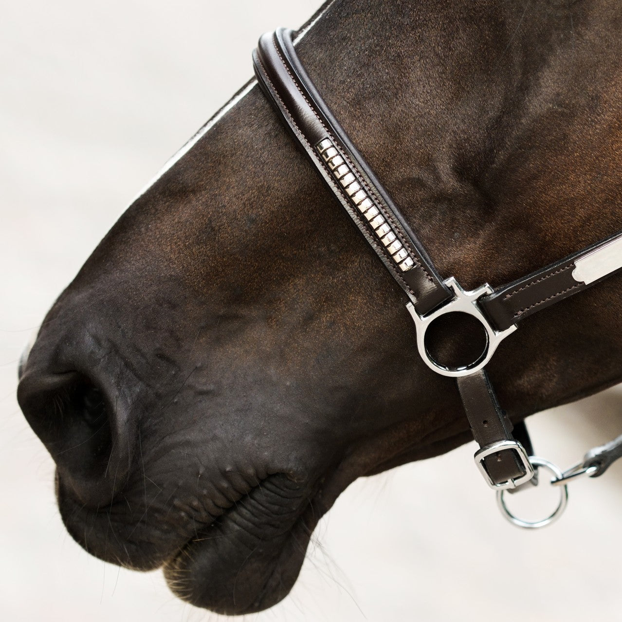 Premium Clincher Leather Horse Halter – Anatomical Padded Headcollar with Solid Brass Hardware