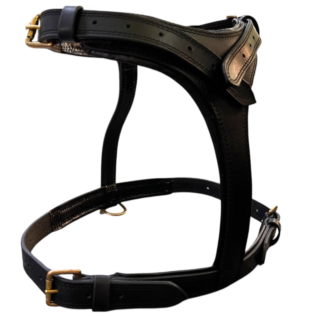 Premium Genuine Leather Dog Harness – Adjustable Padded Harness with Solid Brass Hardware