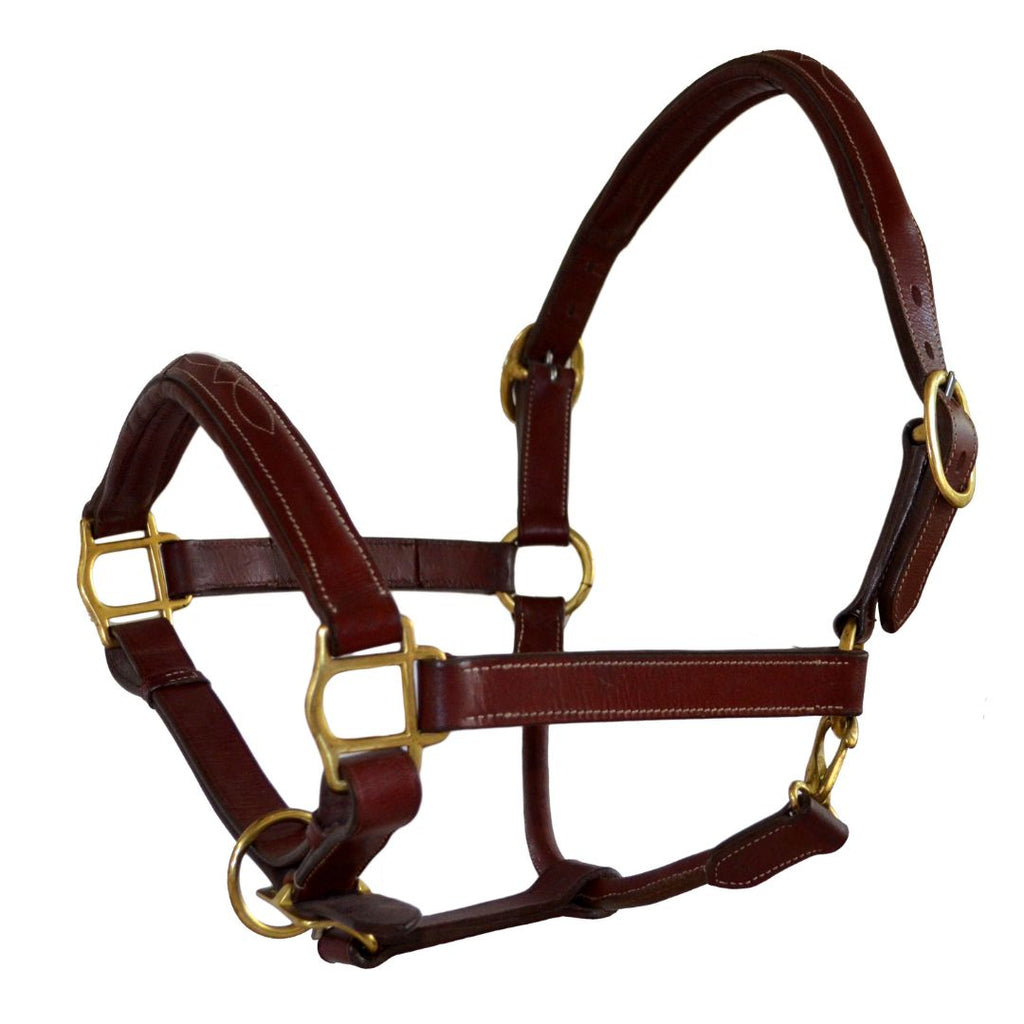 Premium Genuine Leather Fancy Raised Stitch Horse Halter – Padded Adjustable Headcollar with Solid Brass Hardware
