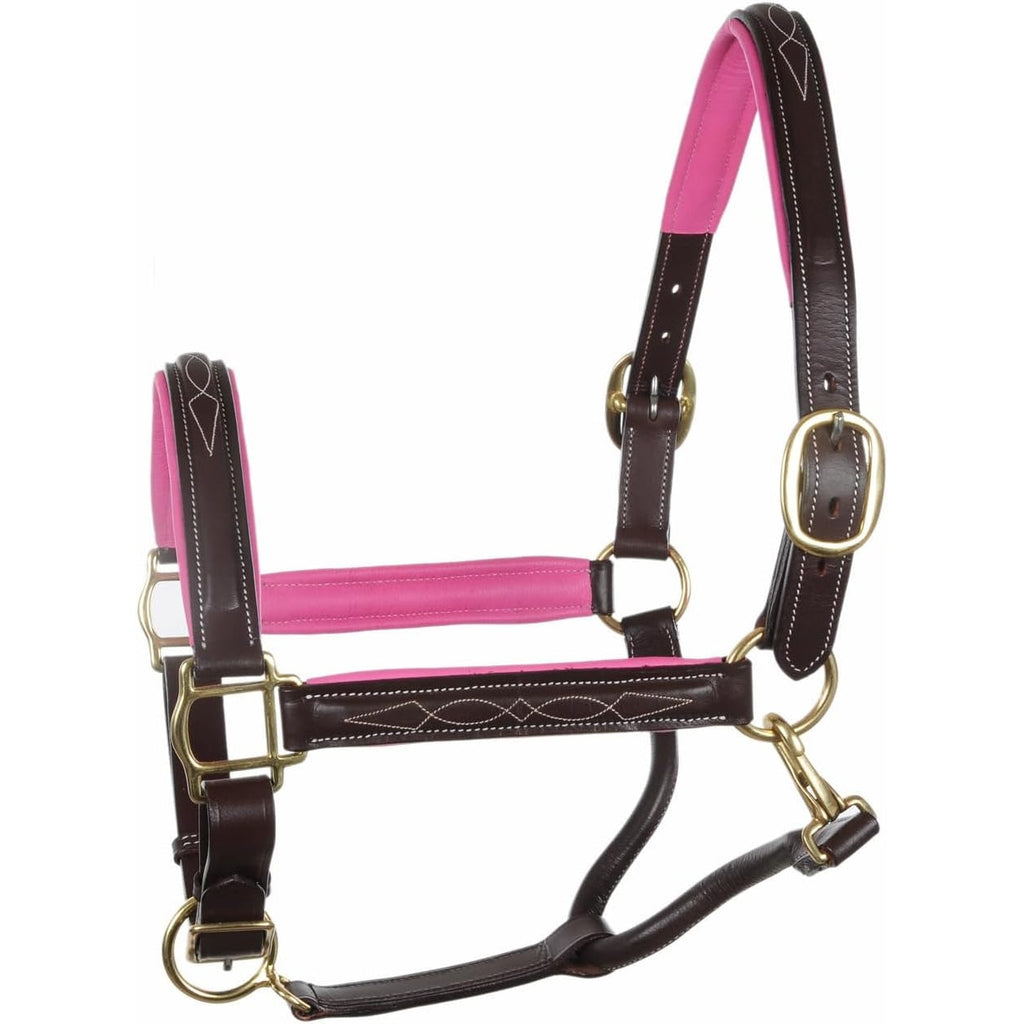 Fancy Raised Stitch Genuine Leather Horse Halter – Padded Adjustable Headcollar with Solid Brass Hardware