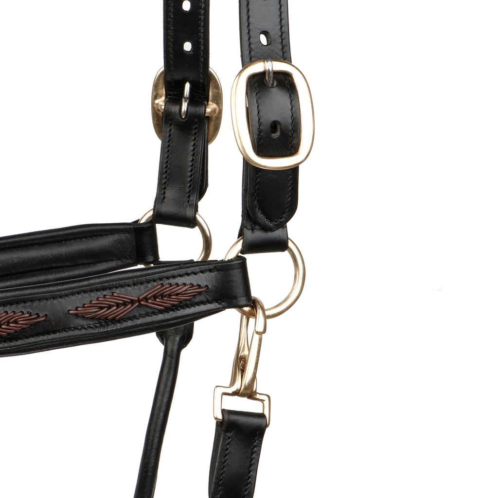 Premium Genuine Leather Braided Horse Halter – Padded Adjustable Headcollar with Solid Brass Hardware