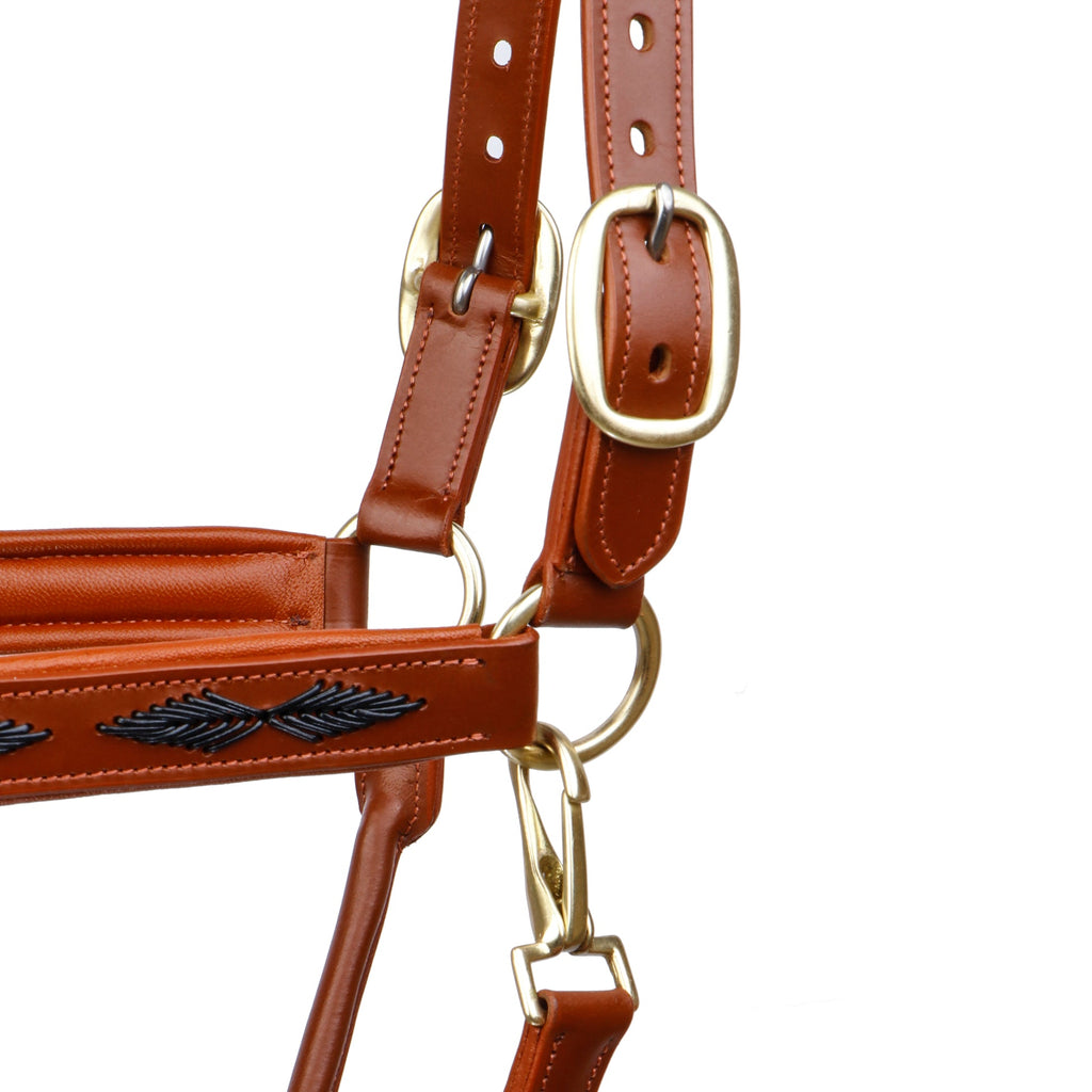 Premium Genuine Leather Braided Horse Halter – Padded Adjustable Headcollar with Solid Brass Hardware