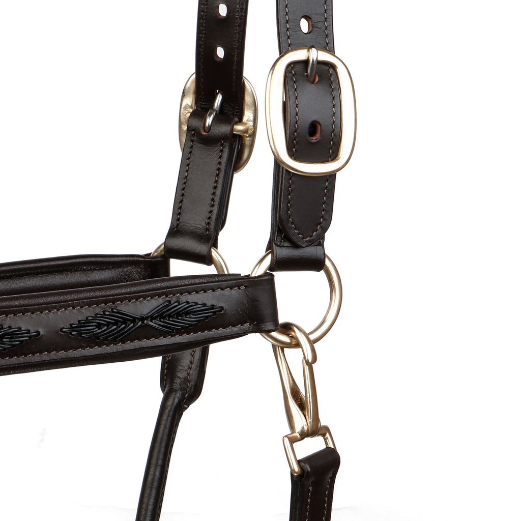 Premium Genuine Leather Braided Horse Halter – Padded Adjustable Headcollar with Solid Brass Hardware