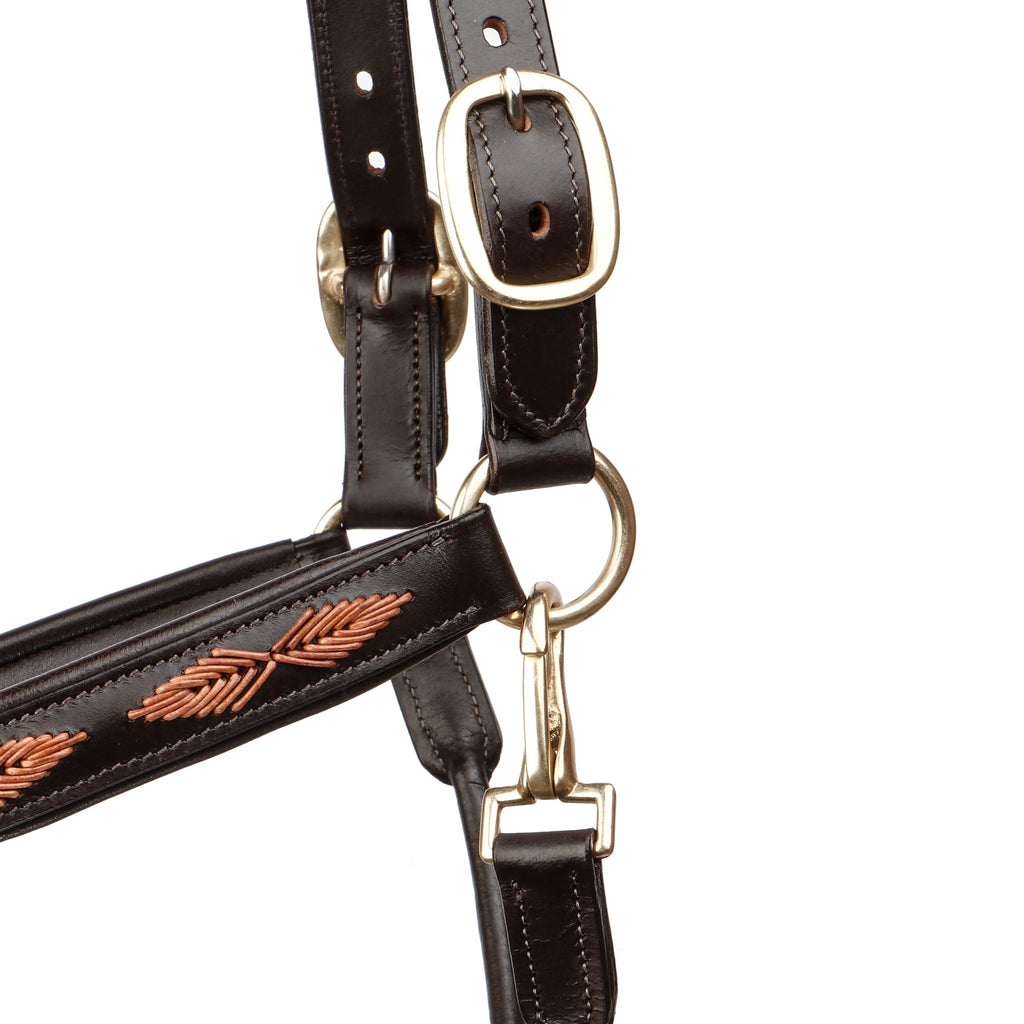 Premium Genuine Leather Braided Horse Halter – Padded Adjustable Headcollar with Solid Brass Hardware