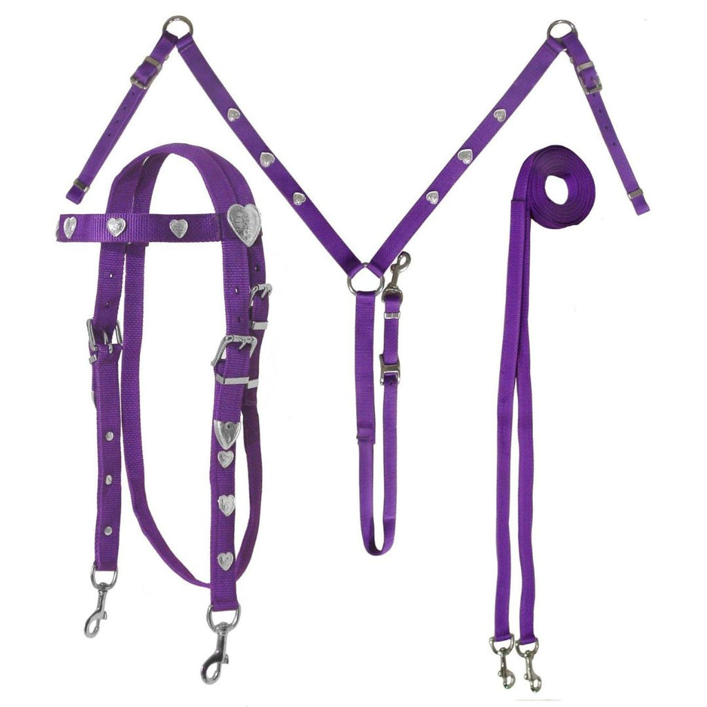 Complete Western Horse Bridle Set – Nylon Headstall, Breast Collar & Reins