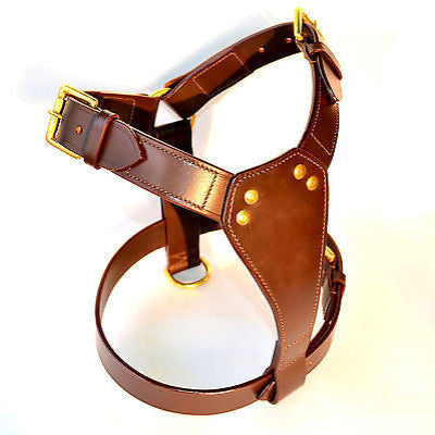 Handcrafted Genuine Leather Dog Harness & Matching Lead Set