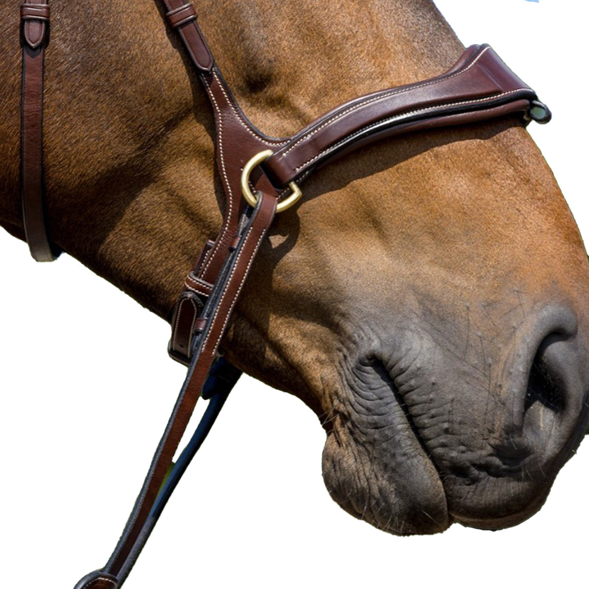 FlexMotion 5-in-1 Anatomical Bridle – Premium Buffalo Leather Convertible English Bridle & Bitless Sidepull