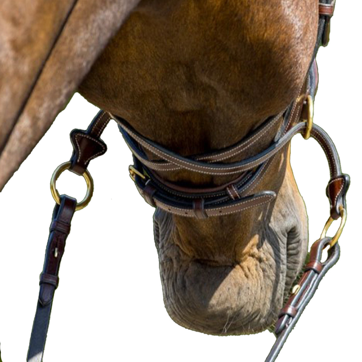 FlexMotion 5-in-1 Anatomical Bridle – Premium Buffalo Leather Convertible English Bridle & Bitless Sidepull