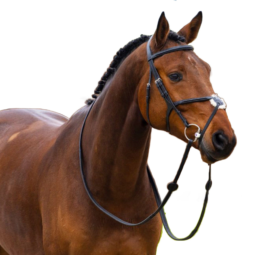 Elite Grackle Performance Bridle – Anatomical Buffalo Leather Figure 8 Bridle with Sheepskin Comfort Pad
