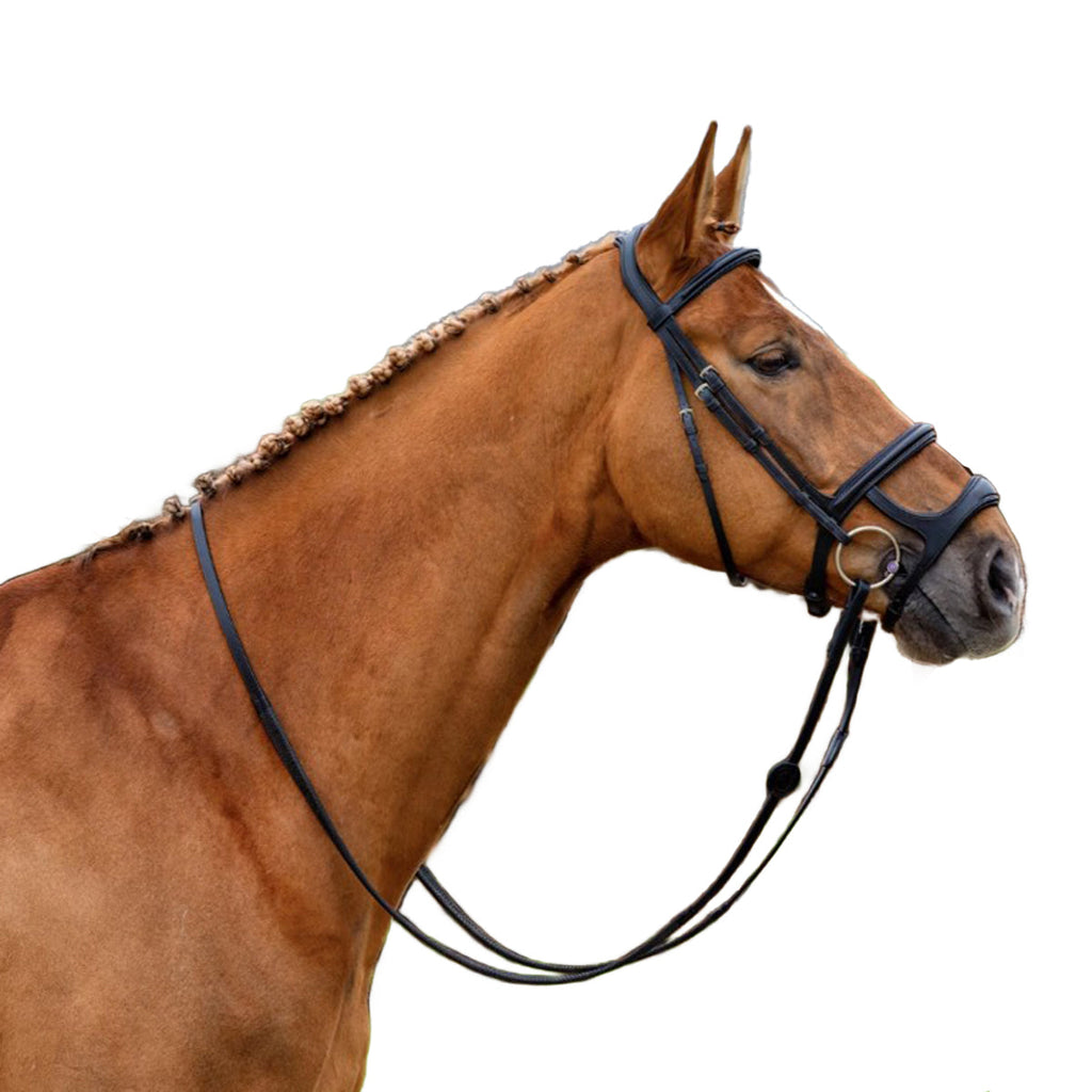 Paris Elite Double Noseband Bridle – Anatomical Buffalo Leather English Bridle with Comfort Crown & Matching Reins
