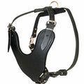 Classic Full-Grain Leather Dog Harness – Adjustable Heavy-Duty Harness with Padded Chest