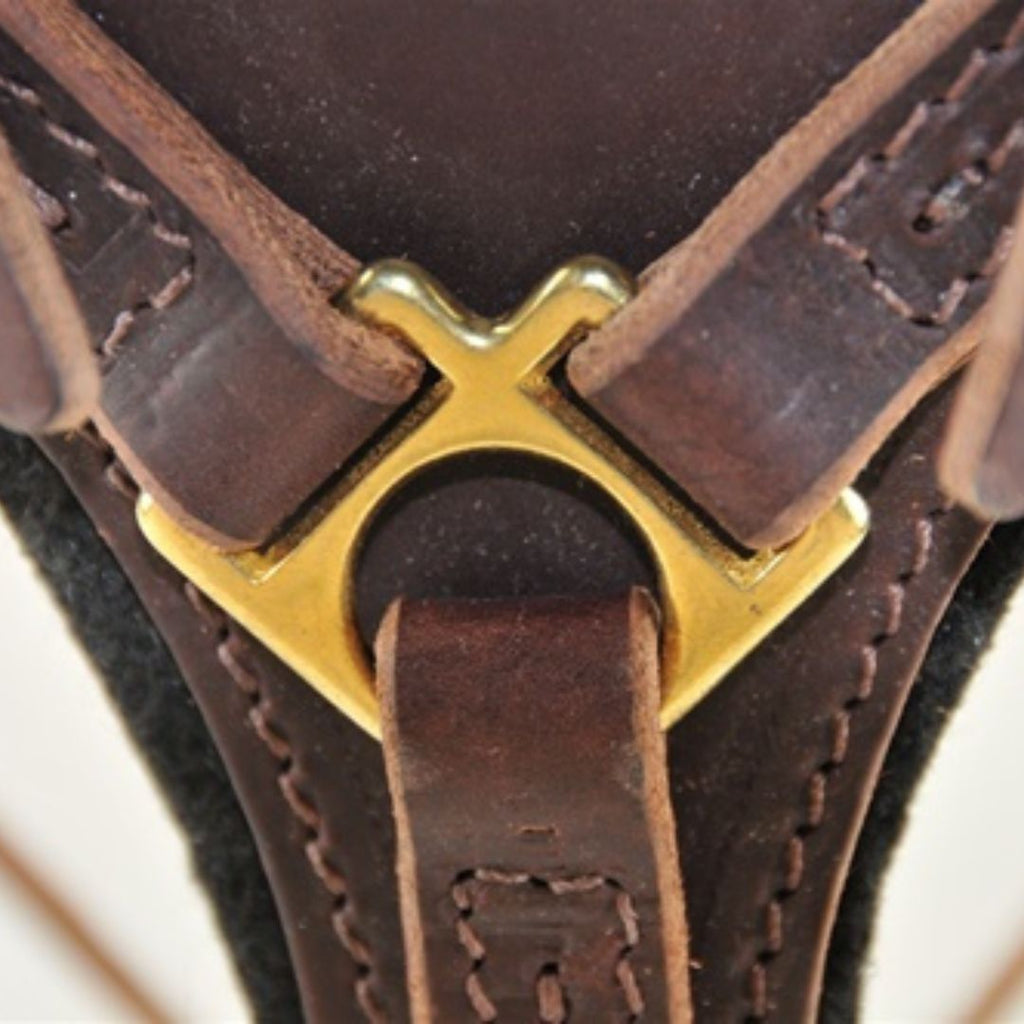 Elite Genuine Leather Dog Harness – Adjustable Padded Harness for Walking & Training