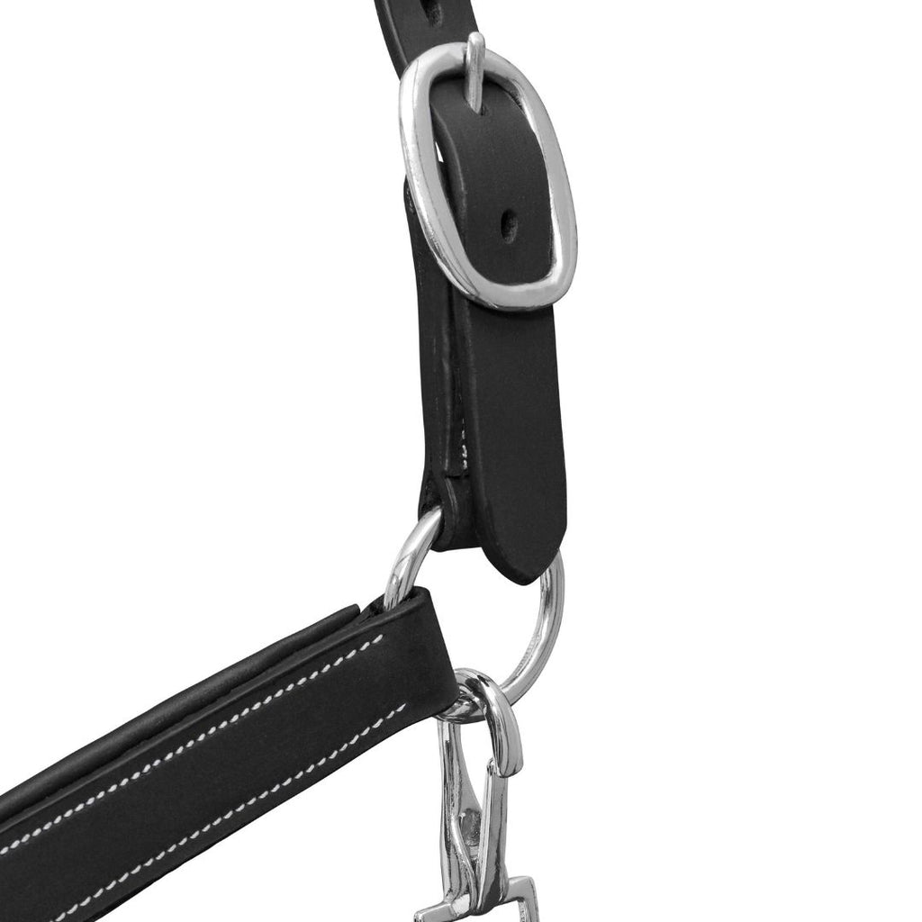 Elite Comfort Leather Horse Halter – Anatomical Padded Headcollar