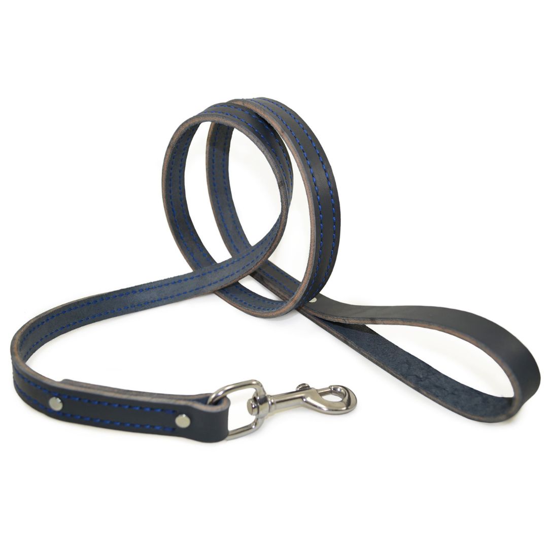 Blue Accent Genuine Leather Dog Leash – Premium Handcrafted Walking Lead with Solid Brass Snap Hook