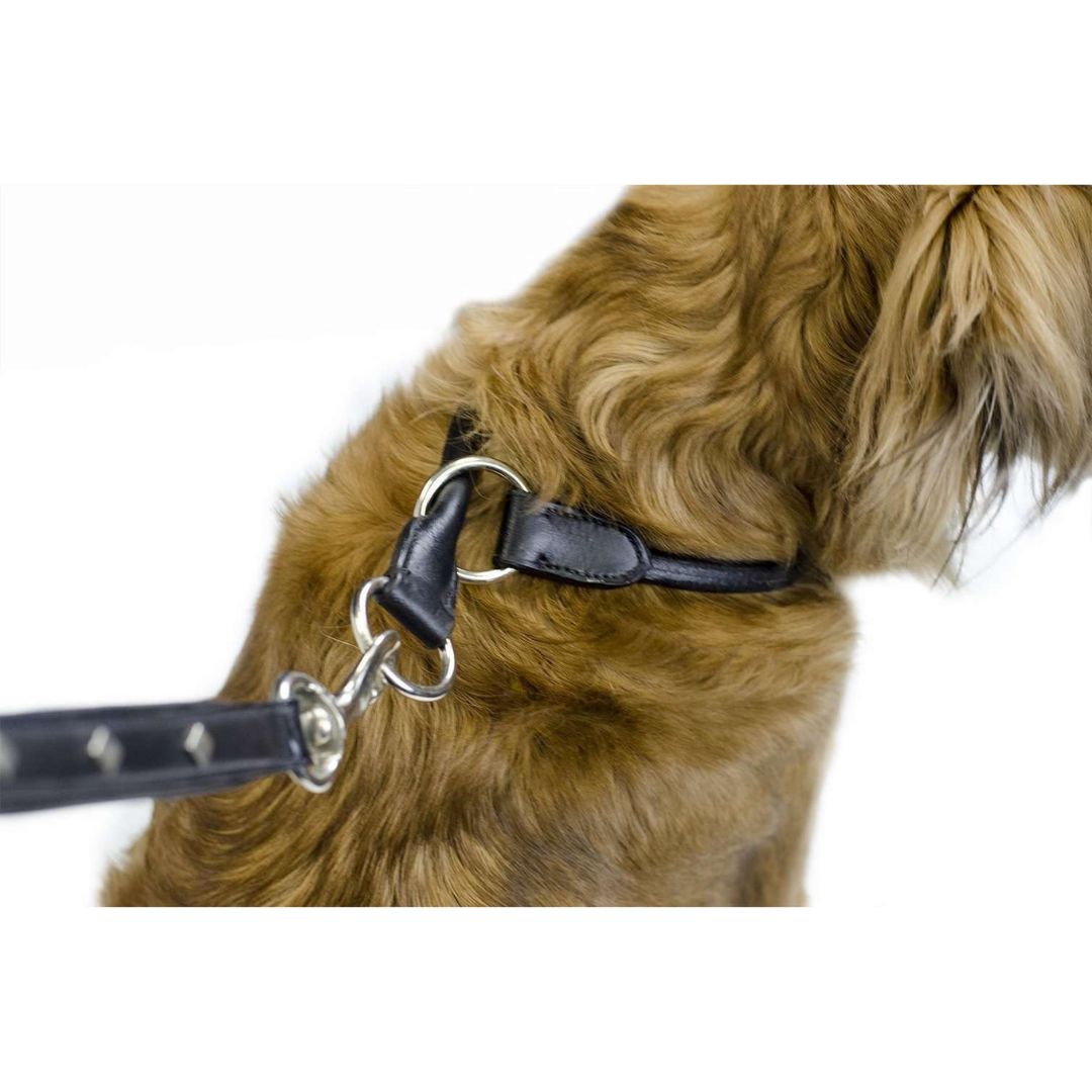 Rolled Genuine Leather Choke Dog Collar – Handcrafted Genuine Leather Slip Collar with Stainless Steel Rings
