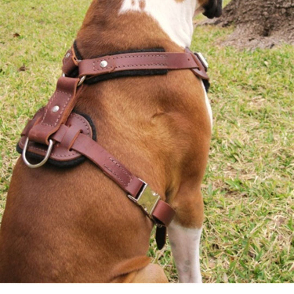 Professional Heavy-Duty Leather Dog Harness with Control Handle – Adjustable Full-Grain Leather Harness