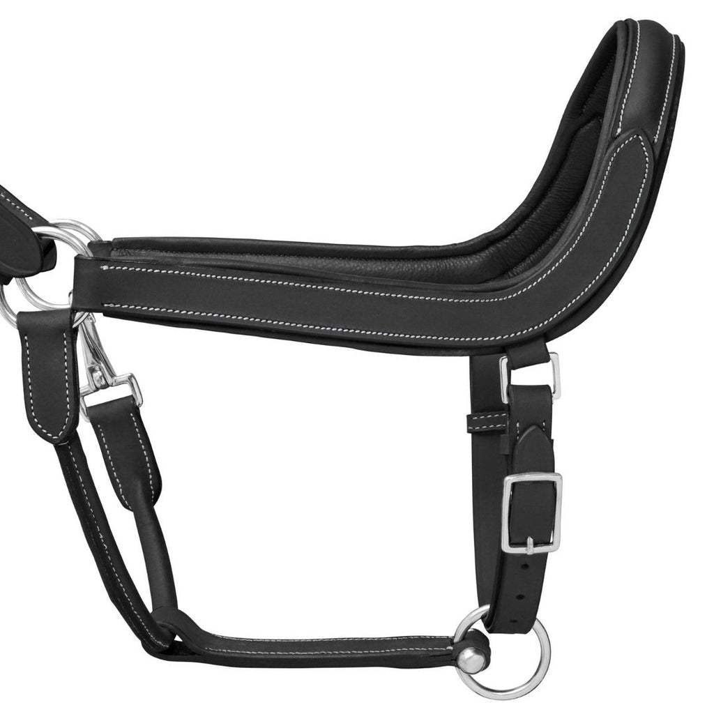 Elite Comfort Leather Horse Halter – Anatomical Padded Headcollar