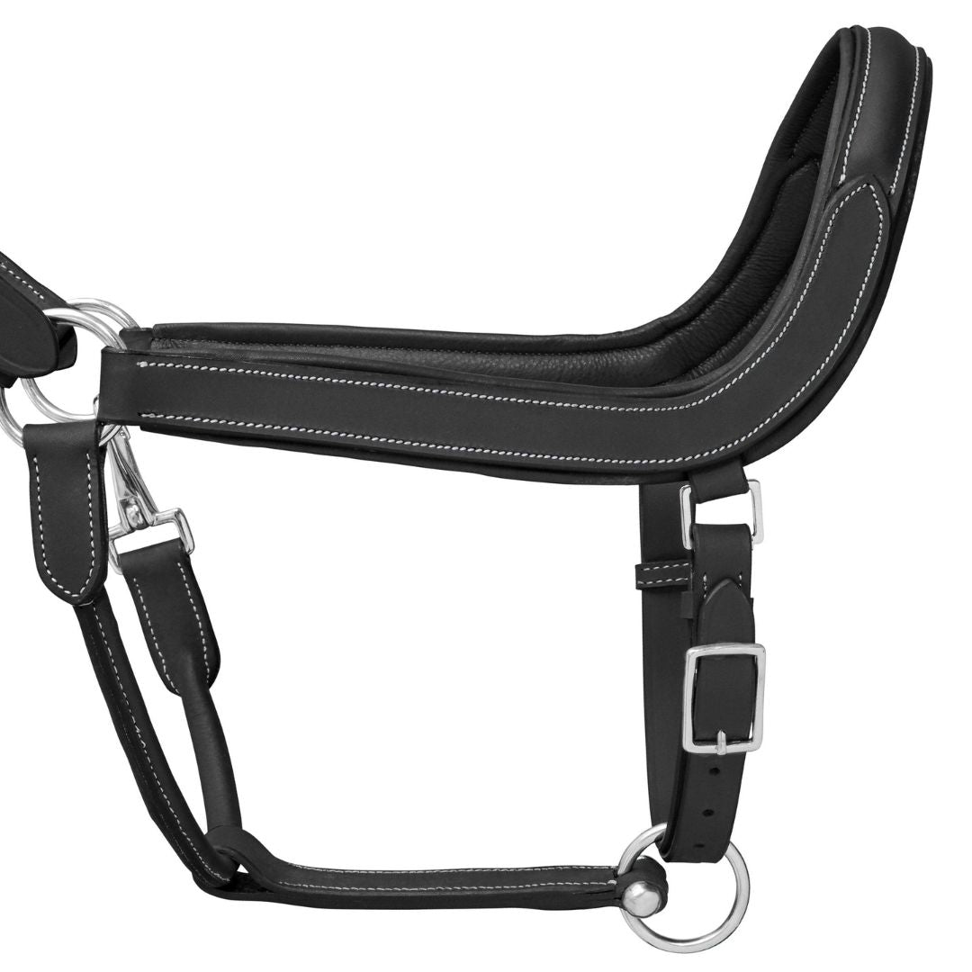 Elite Comfort Leather Horse Halter – Anatomical Padded Headcollar
