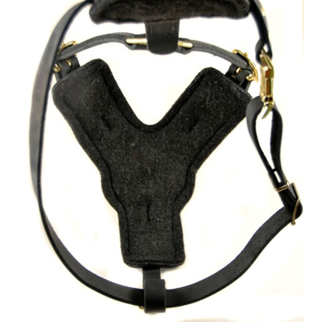 Genuine Leather Dog Harness with Handle – Heavy-Duty Adjustable Harness for Training & Walking