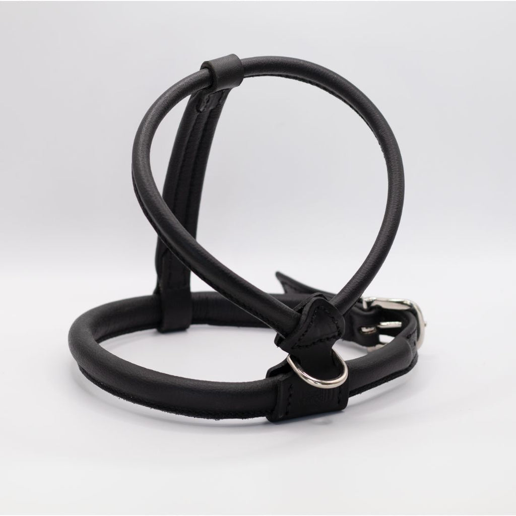 Rolled Genuine Leather Dog Harness – Adjustable Comfort Harness for Long-Haired Dogs