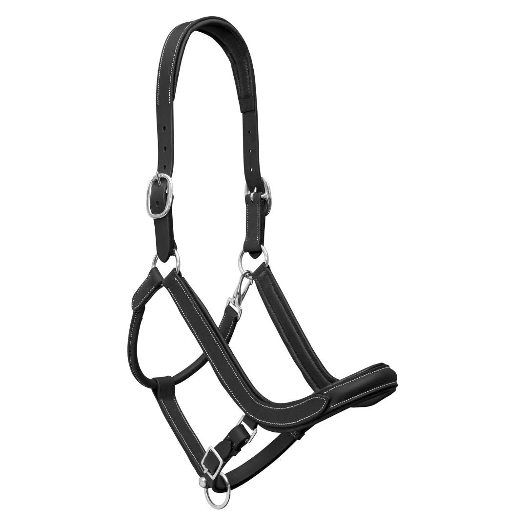 Elite Comfort Leather Horse Halter – Anatomical Padded Headcollar