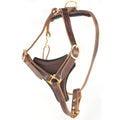Elite Genuine Leather Dog Harness – Adjustable Padded Harness for Walking & Training