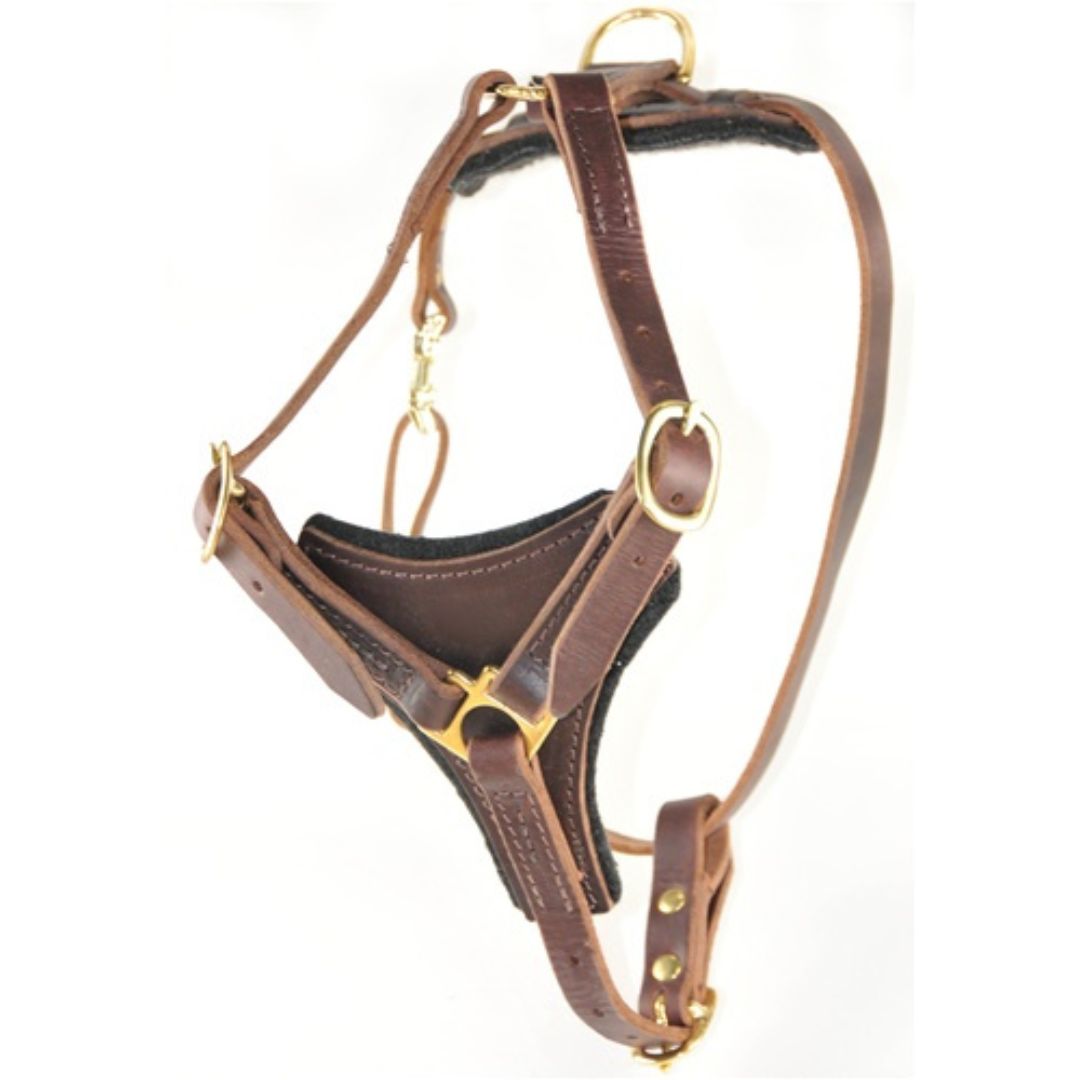 Elite Genuine Leather Dog Harness – Adjustable Padded Harness for Walking & Training