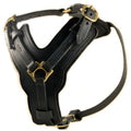 Genuine Leather Dog Harness with Handle – Heavy-Duty Adjustable Harness for Training & Walking