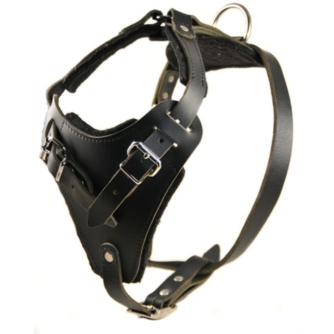 Professional Heavy-Duty Leather Dog Harness with Control Handle – Adjustable Full-Grain Leather Harness