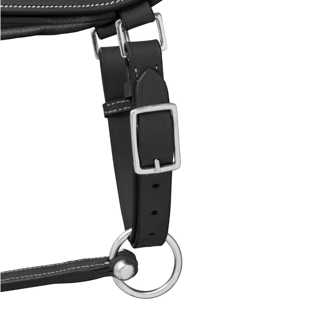 Elite Comfort Leather Horse Halter – Anatomical Padded Headcollar