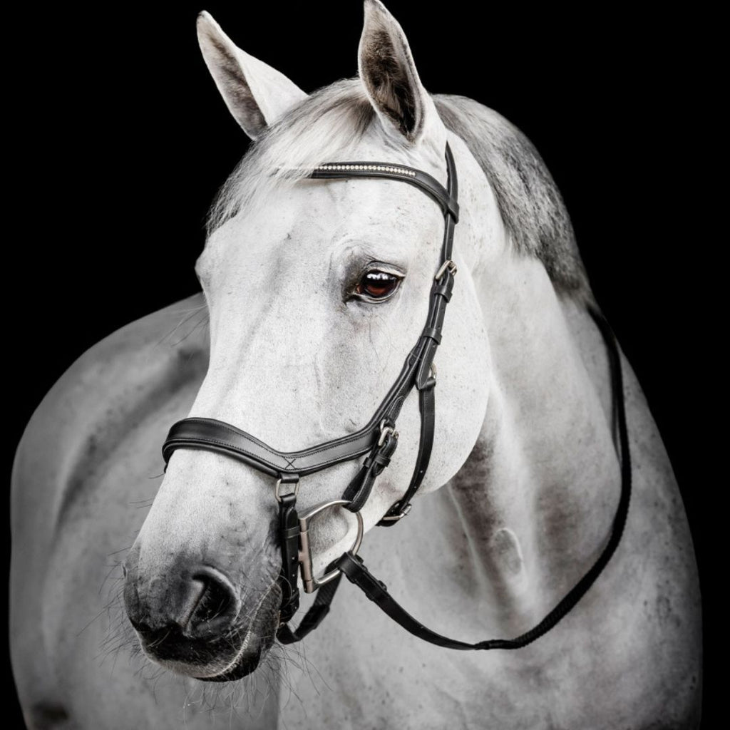 Diamante Comfort Competition Bridle – Anatomical Buffalo Leather English Bridle with Crystal Browband & Ergonomic Crown