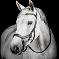 Diamante Comfort Competition Bridle – Anatomical Buffalo Leather English Bridle with Crystal Browband & Ergonomic Crown