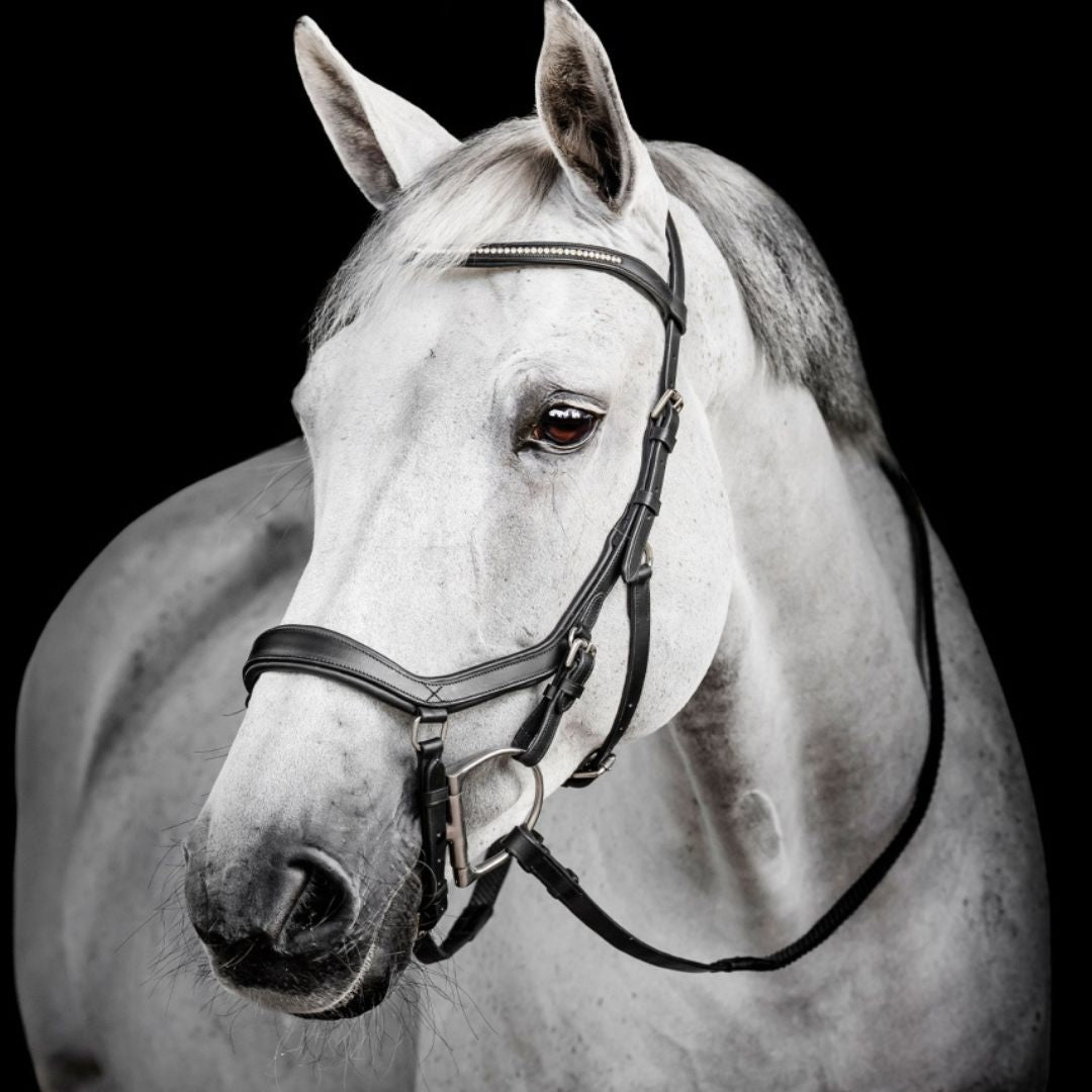 Diamante Comfort Competition Bridle – Anatomical Buffalo Leather English Bridle with Crystal Browband & Ergonomic Crown