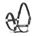 Premium Personalized Leather Horse Halter with Engravable Brass Nameplate – Padded Adjustable Headcollar