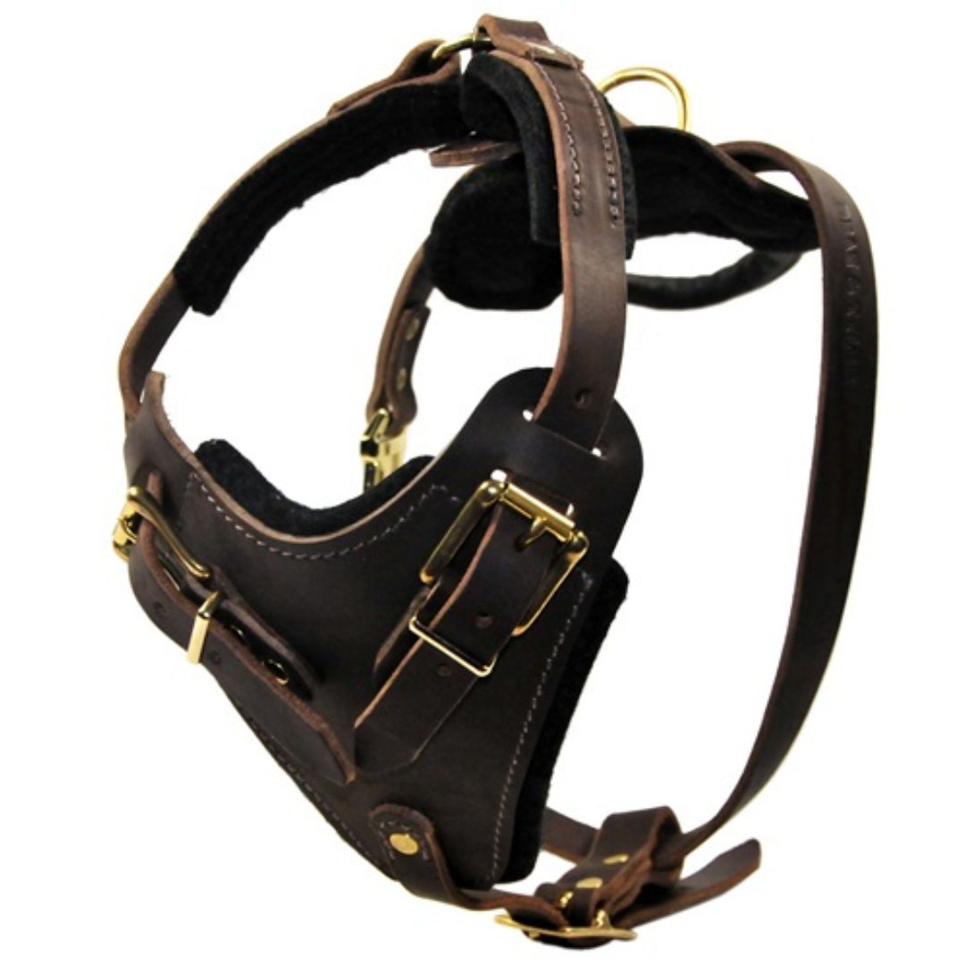 Professional Heavy-Duty Leather Dog Harness with Control Handle – Adjustable Full-Grain Leather Harness