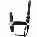 Premium Genuine Leather Empty Channel Horse Halter – Padded Adjustable Headcollar with Solid Brass Hardware