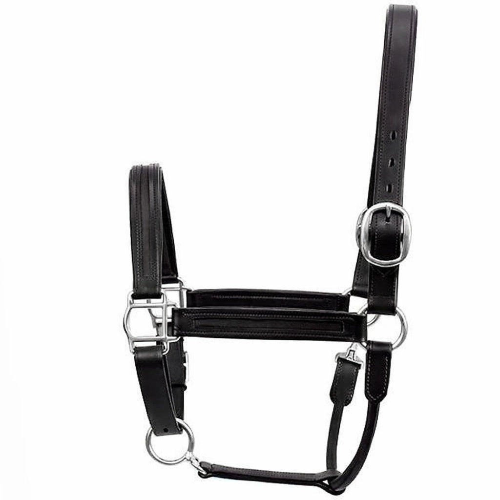 Premium Genuine Leather Empty Channel Horse Halter – Padded Adjustable Headcollar with Solid Brass Hardware