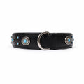 Decorative Genuine Leather Dog Collar with Turquoise Conchos – Padded Handmade Collar for Dogs