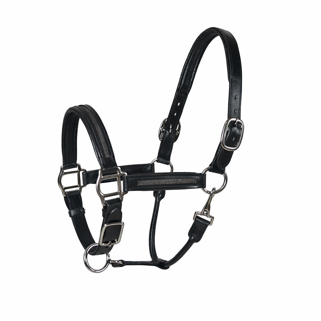 Premium Genuine Leather Empty Channel Horse Halter – Padded Adjustable Headcollar with Solid Brass Hardware