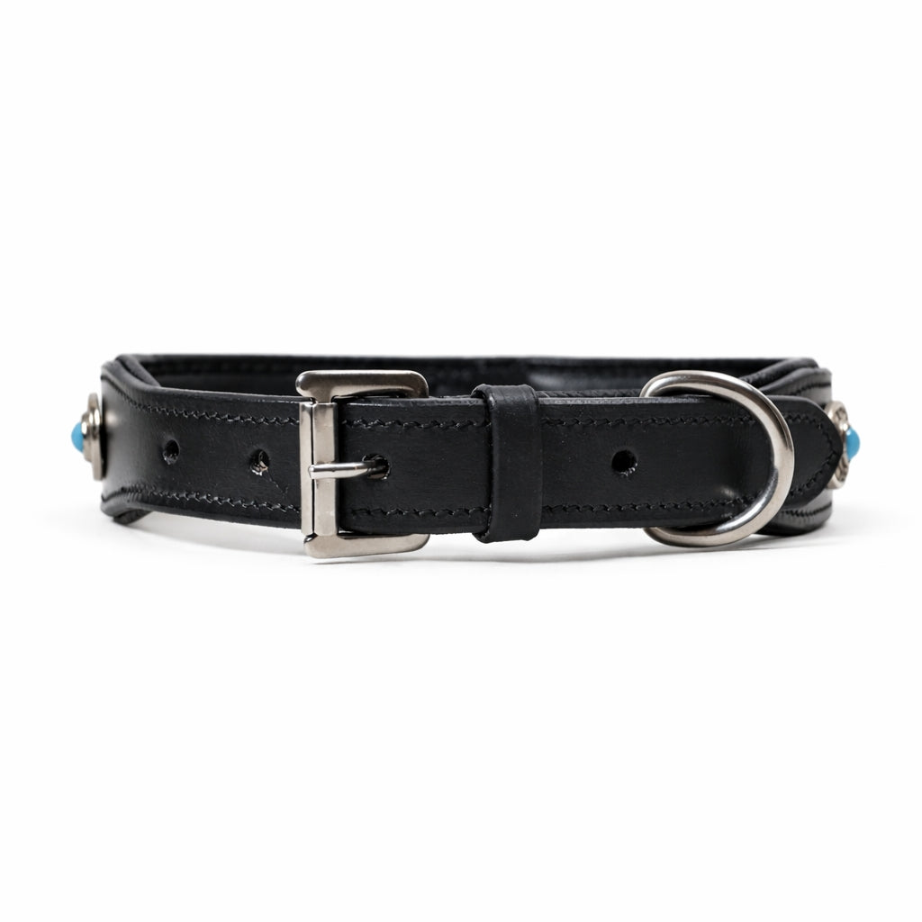 Decorative Genuine Leather Dog Collar with Turquoise Conchos – Padded Handmade Collar for Dogs