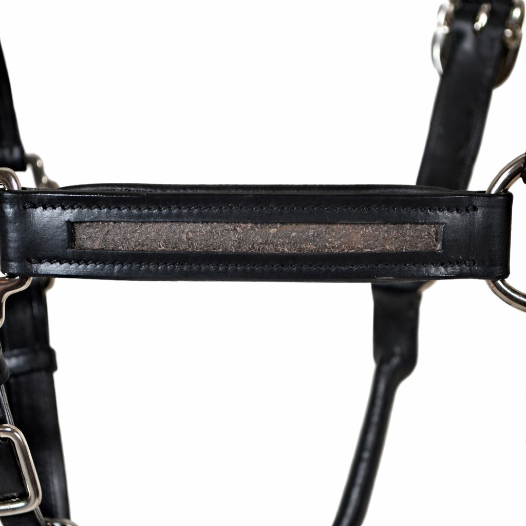 Premium Genuine Leather Empty Channel Horse Halter – Padded Adjustable Headcollar with Solid Brass Hardware