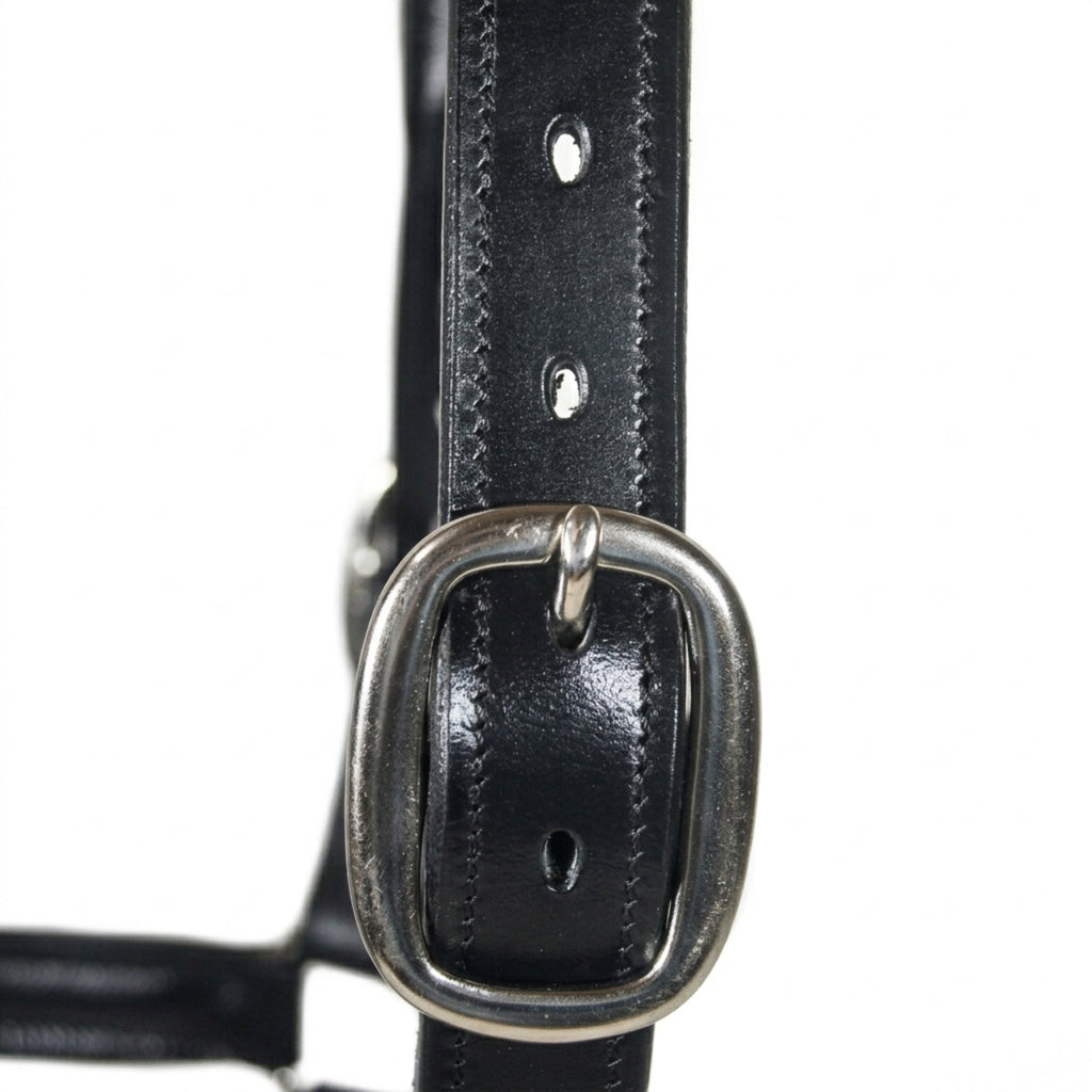 Premium Genuine Leather Empty Channel Horse Halter – Padded Adjustable Headcollar with Solid Brass Hardware