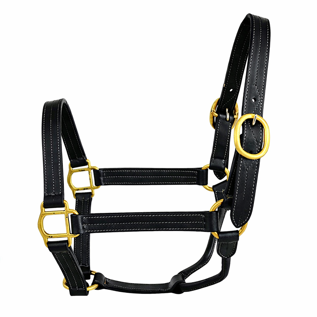 Premium Triple-Stitched Genuine Leather Horse Halter with Solid Brass Hardware – Adjustable English Stable Halter