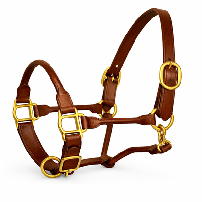 Premium Rolled Leather Horse Halter with Solid Brass Hardware – Adjustable English Leather Headcollar