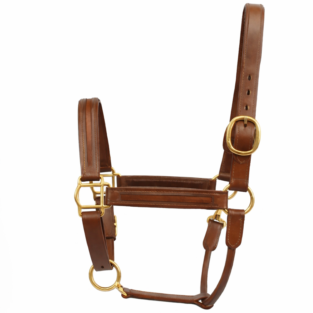 Premium Genuine Leather Empty Channel Horse Halter – Padded Adjustable Headcollar with Solid Brass Hardware
