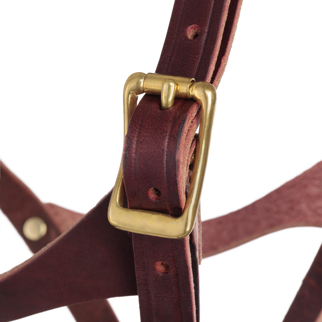 Premium Figure-8 Leather Foal Halter – Adjustable Genuine Leather Headcollar with Solid Brass Hardware